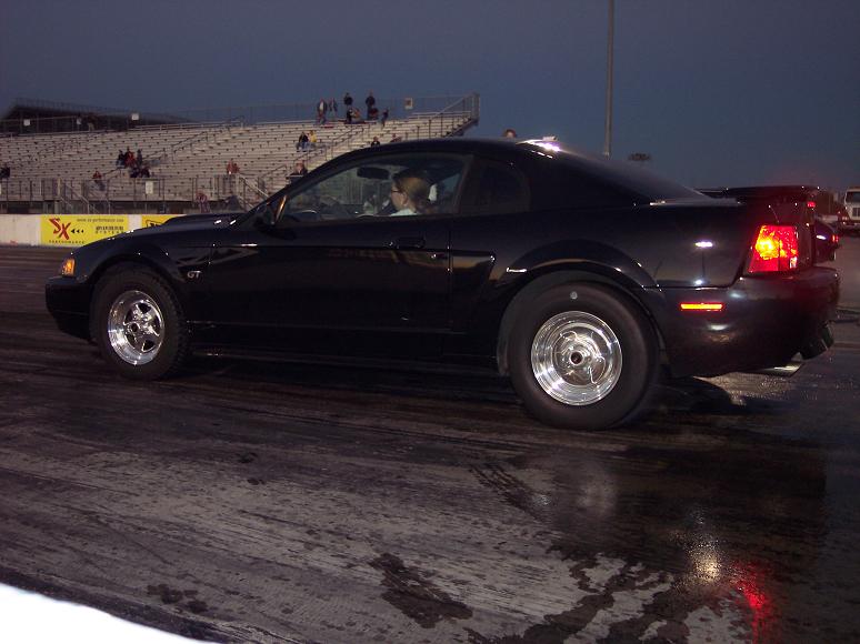 02mustang.jpg